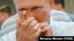 Владимир Путин посетил молодежный образовательный форум «Таврида». Крым, 2017 год