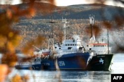 Судно Arctic Sunrise в порту российского Мурманска. Октябрь 2013 года