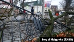 Упавшее из-за ураганного ветра дерево на улице в Симферополе, Крым, 30 ноября 2021 года